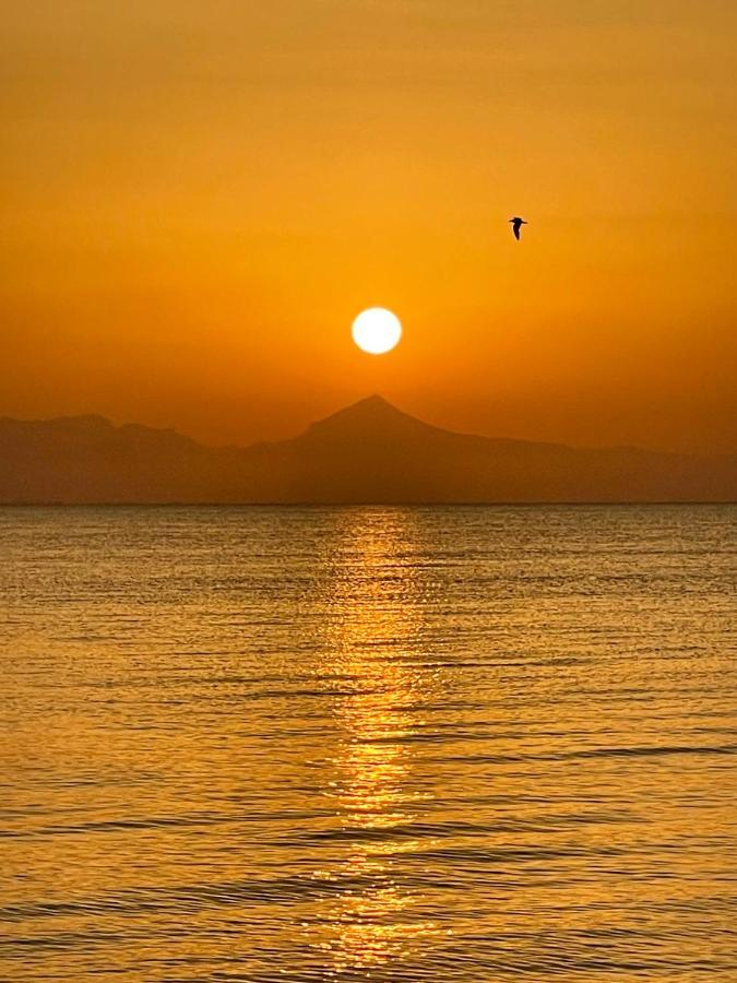 La Urbanizacion Cerca Del Mar Apartman Denia Kültér fotó